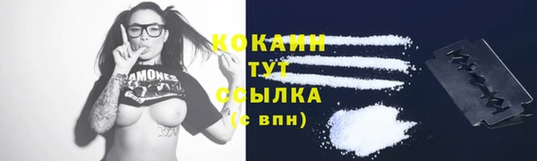 прущие крисы Надым