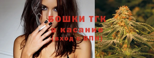 прущие крисы Надым