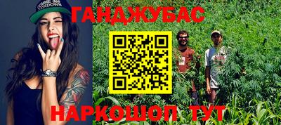 шишки Гуково