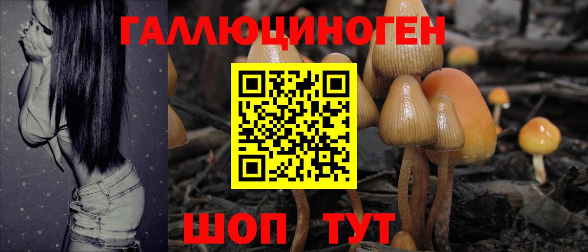Меф Черногорск