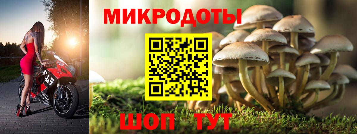 Галлюциногенные грибы мухоморы  Вход с VPN  даркнет сайт  Черногорск 